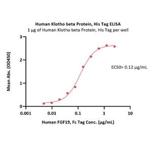 Klotho beta / KLB Protein
