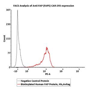 Biotinylated Human FAP Protein