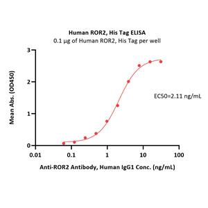 Human ROR2 / NTRKR2 Protein