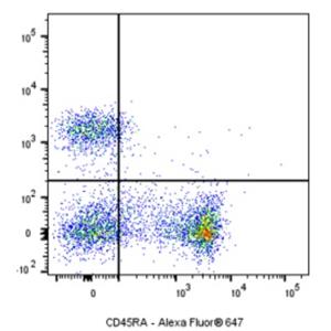 Alexa Fluor 647 Mouse Anti-Rat CD45RA Antibody (S-R629)