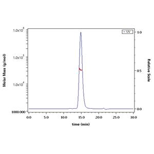 Mouse Fc gamma RIIB / CD32b Protein