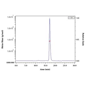 Biotinylated Mouse Serum Albumin Protein