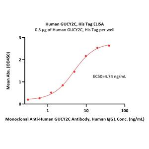 Human GUCY2C / Guanylyl cyclase C Protein