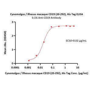 Cynomolgus / Rhesus macaque CD19 (20-292) Protein