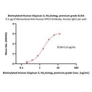 Biotinylated Human Glypican 3 / GPC3 Protein
