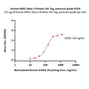 NRG1 Beta 1 Protein Protein