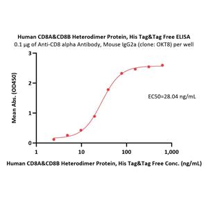 Human CD8 alpha&beta (CD8A&CD8B) Heterodimer Protein