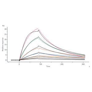 Human Glypican 2 / GPC2 Protein