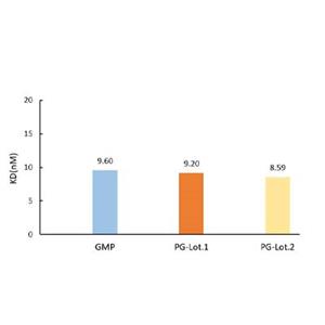 Human VCAM-1 Protein
