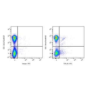FITC Armenian hamster Anti-Mouse TCR γ/δ Antibody (S-R525)