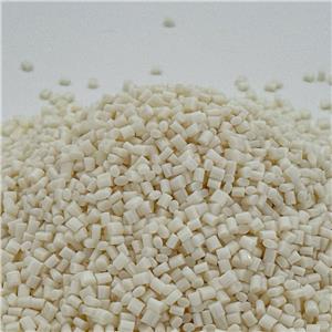 Polytrimethylene terephthalate/ PTT