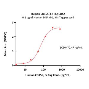 Human DNAM-1 / CD226 Protein