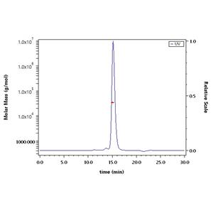 Biotinylated SARS-CoV-2 Spike RBD Protein