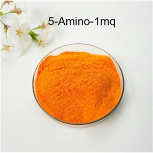 NNMTi 5-amino-1MQ