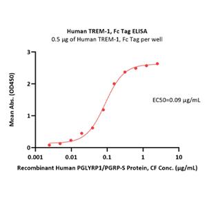 Human TREM-1 Protein