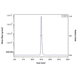 Human IgG1 Fc Protein