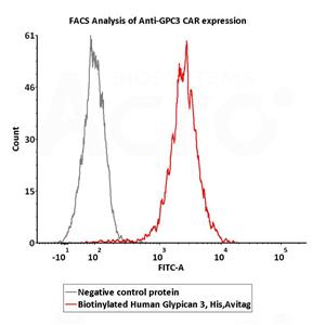 Biotinylated Human Glypican 3 / GPC3 Protein