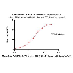 Recombinant Streptavidin Protein