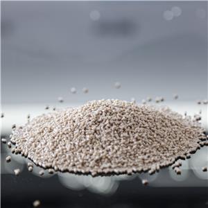 Polyetheretherketone /PEEK