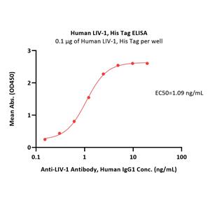 Human LIV-1 / SLC39A6 Protein