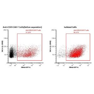 Biotinylated Monoclonal Anti-G4S linker Antibody