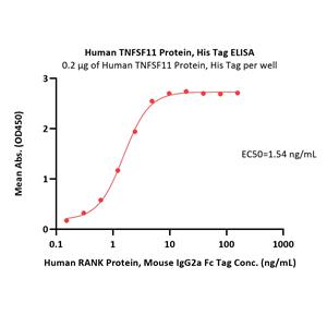 Human TNFSF11 / RANKL / CD254 Protein