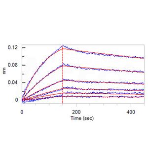 Human LDL R Protein