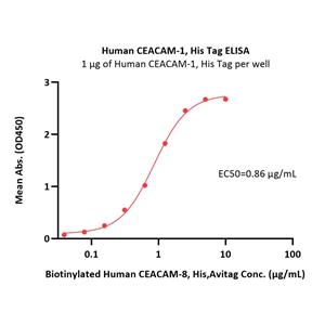 Human CEACAM-1