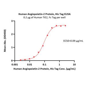 Human Angiopoietin-2 / ANGPT2 Protein