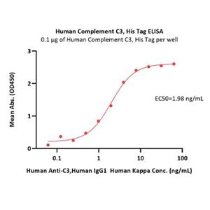 Complement C3 Protein