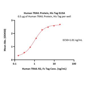 Human TRAIL / TNFSF10 Protein
