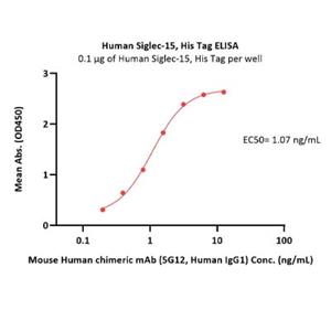 Human Siglec-15 Protein