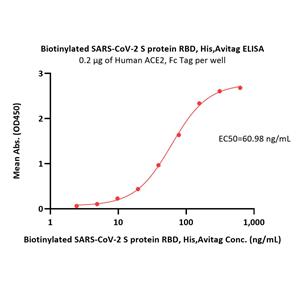 Biotinylated SARS-CoV-2 Spike RBD Protein