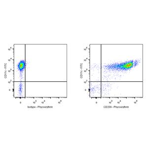 PE Mouse Anti-Human CD209 Antibody (S-2881)