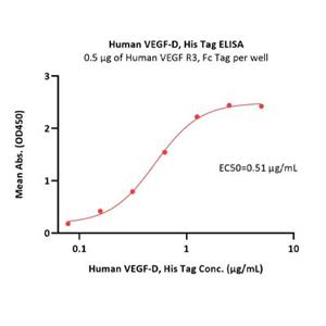 Human VEGF-D Protein