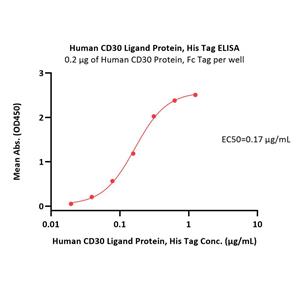 Human CD30 Ligand / TNFSF8 Protein