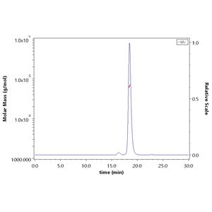 Recombinant Streptavidin Protein