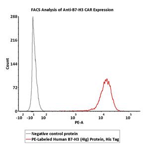 PE-Labeled Human B7-H3 (4Ig) / B7-H3b Protein