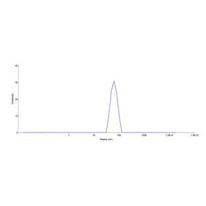 Human CD133 Full Length Protein (VLP)