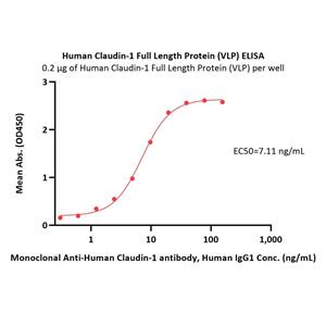 Human Claudin-1 Full Length Protein (VLP)