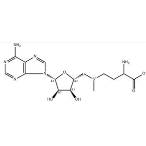 S-ADENOSYL-L-METHIONINE