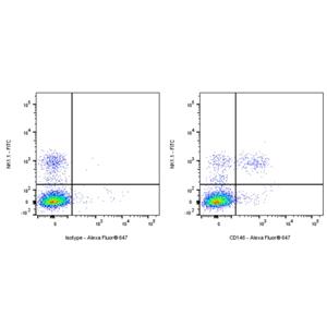 Alexa Fluor 647 Rat Anti-Mouse CD146 Antibody (S-R606)