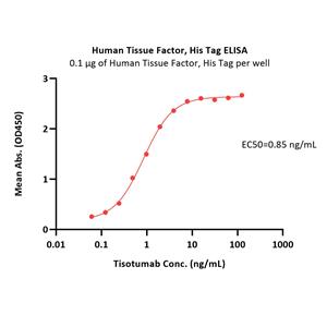 Human Coagulation Factor III / Tissue Factor Protein
