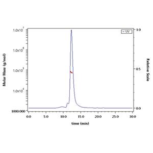 Human CLEC5A / MDL-1 Protein