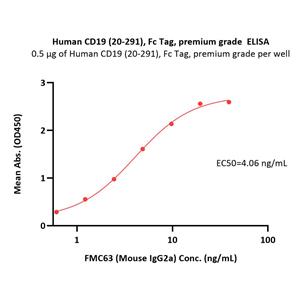 Human CD19 (20-291) Protein