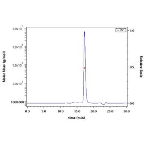 Cynomolgus Serum Albumin Protein