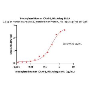 Human ICAM-1 Protein