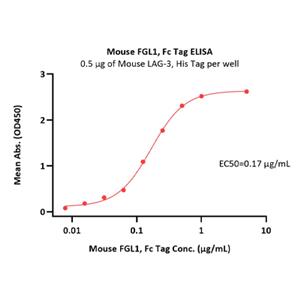 Mouse FGL1 Protein