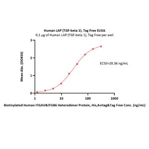 LAP (TGF-beta 1) Protein