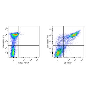 PE-Cy7 Rat Anti-Mouse IgD Antibody (S-R622)